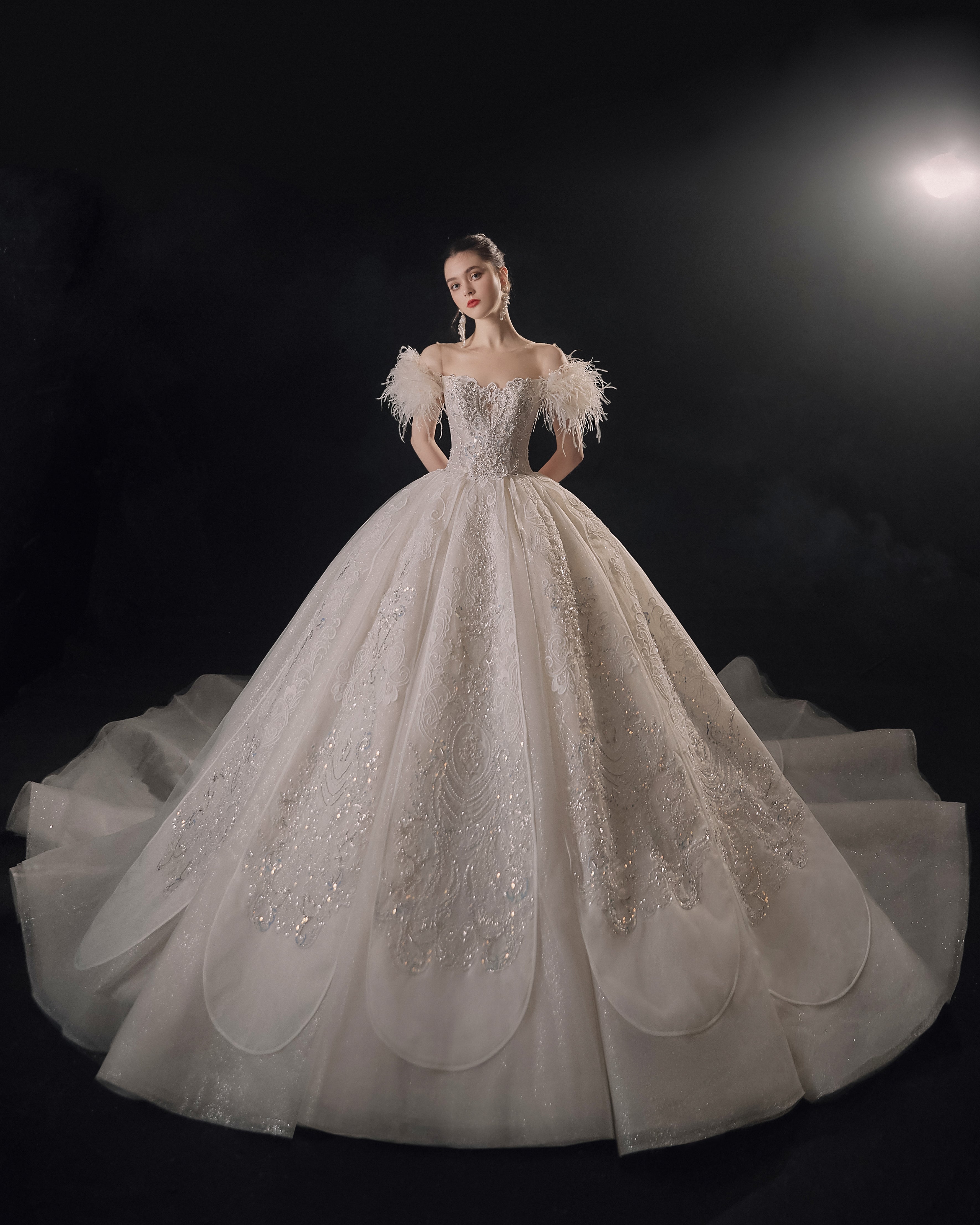 Ethereal Off-Shoulder Feather Ball Gown Wedding Dress with Cathedral Train & Crystal Lace Appliqués