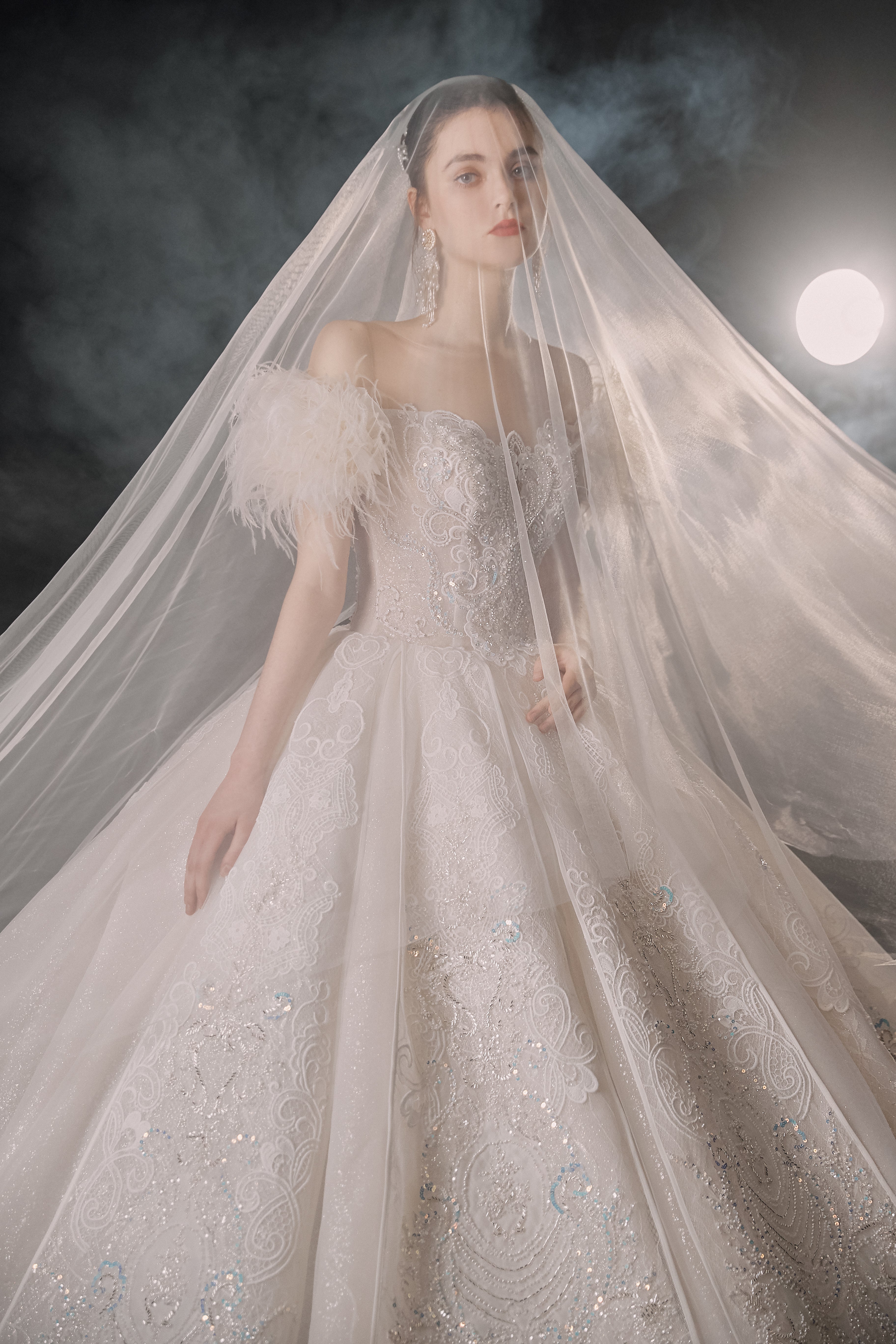 Ethereal Off-Shoulder Feather Ball Gown Wedding Dress with Cathedral Train & Crystal Lace Appliqués