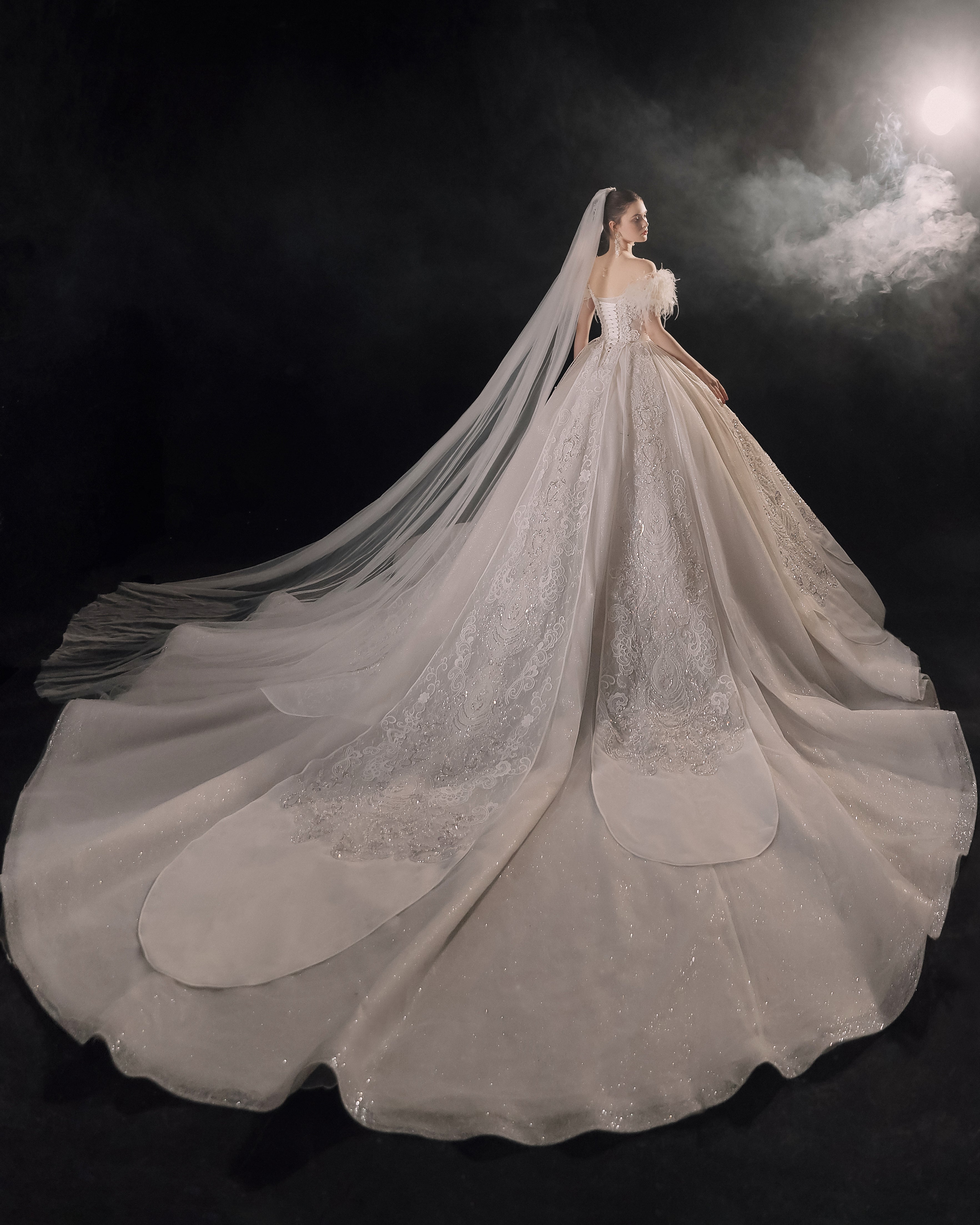 Ethereal Off-Shoulder Feather Ball Gown Wedding Dress with Cathedral Train & Crystal Lace Appliqués