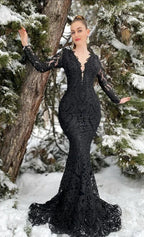 Women's Lace Mermaid Evening Dress Luxurious Black Prom Dress Y6890