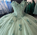 Quinceanera Dress Ball Gown, Sweet 16 Dresses,Y2431
