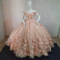 Peach Dress Sweet 15 16 Dress Off Shoulder Princess Lace Up Ball Gown Y2686