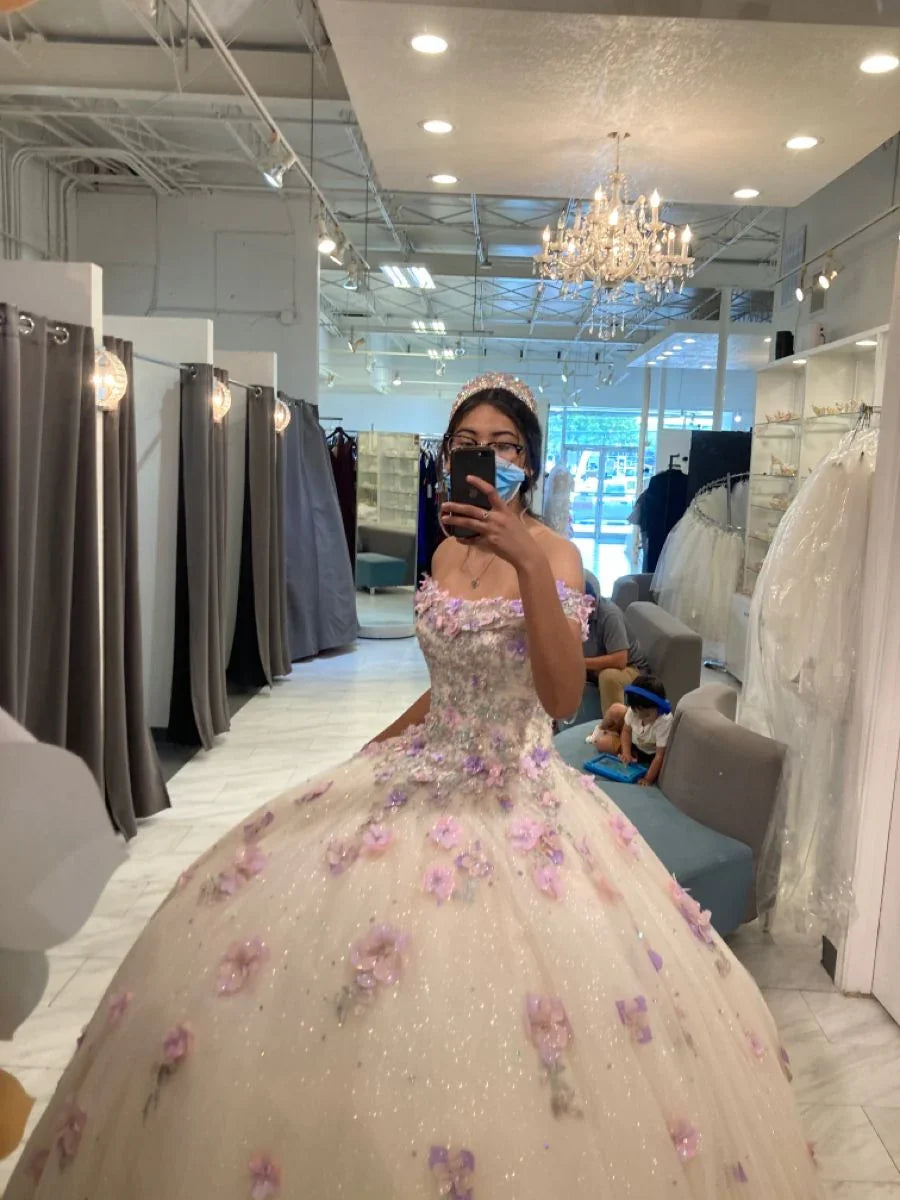Stunning Off The Shoulder Floral Applique Quinceanera Dress Ball Gown Sweet 16 Dress Y4513