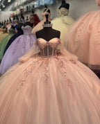 Tulle Appliques Long Sleeve Quinceanera Dress,Ball Gown,Sweet 16 Dress  Y5461