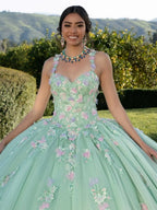 Ethereal Mint Green Sweetheart Quinceañera Dress Delicate Pastel Floral Applique Glimmering Ballgown Vestidos De 15 Quinceañera