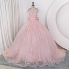 Shinny Sequin Party Dresses 15 Quinceanera Dresses Ball Gown Luxury Glitter Prom Gown 15 Year Old Dress Customized For Girls