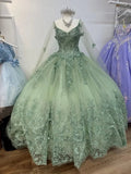Sage Green 3D Butterfly Applique Cape Ball Gown Y2785