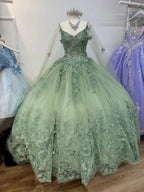 Sage Green 3D Butterfly Applique Cape Ball Gown Y2785