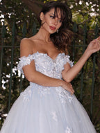 Ball Gown Tulle Applique Off-the-Shoulder Sleeveless Prom Dresses