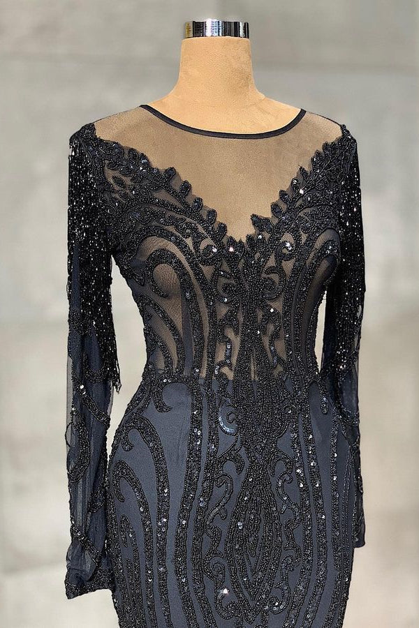 Elegant Long Mermaid Tulle Lace Prom Dress with Sleeves