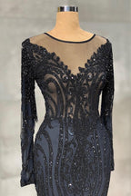 Elegant Long Mermaid Tulle Lace Prom Dress with Sleeves