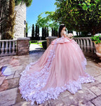 Elegant Long Ball Gown Off-the-shoulder Appliques Lace Tulle Quinceanera Dress