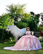 Elegant Long Ball Gown Off-the-shoulder Appliques Lace Tulle Quinceanera Dress
