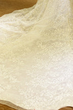 Gorgeous Short Sleeve Lace Tulle Princess Ivory Wedding Dress