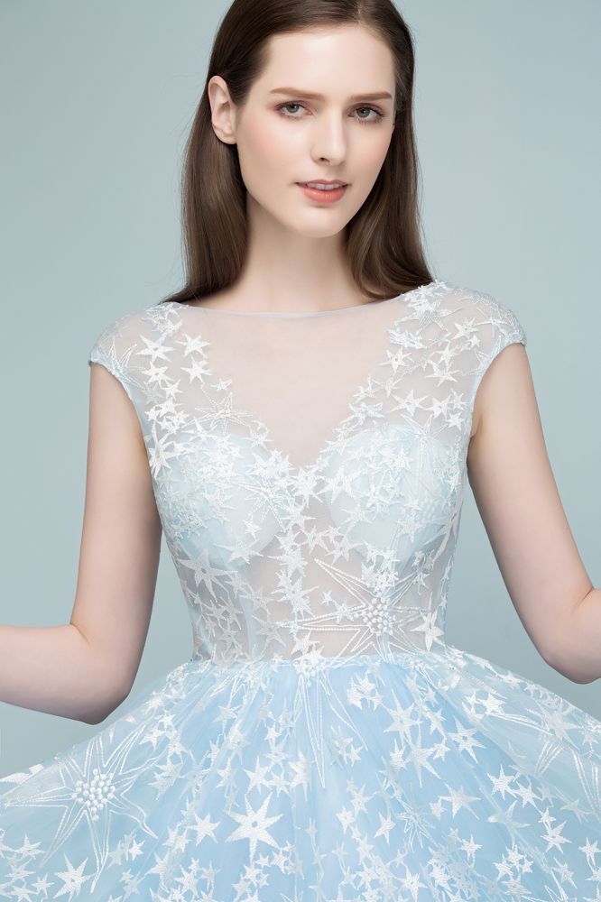 Long Appliqued Tulle A-line Cap Sleeves Prom Dresses
