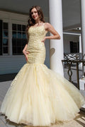 Nectarean Appliques Lace Square Neckline Spaghetti Straps Sleeveless Floor-length Mermaid Prom Dresses