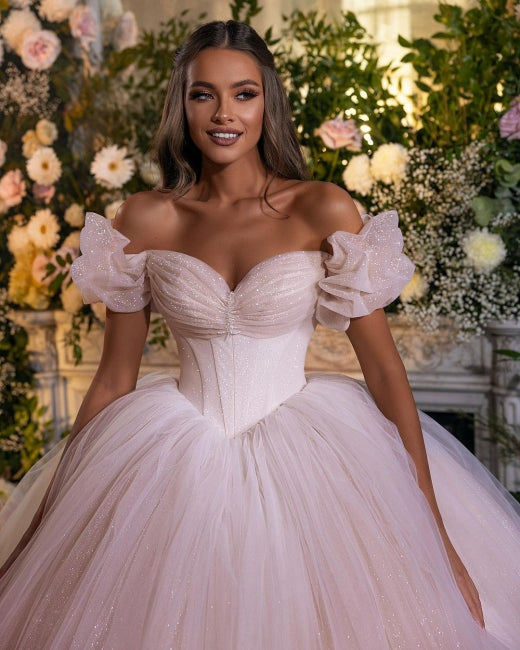 Princess Luxury Wedding Dresses Glitter with Lace