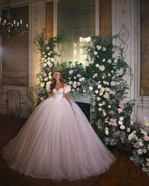 Princess Luxury Wedding Dresses Glitter with Lace