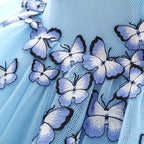 Princess V Neck Chapel Train Chiffon Sky Blue Prom Dresses With Butterfly Applique